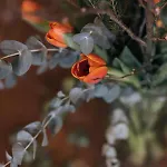 Hotel Hotel Baeren