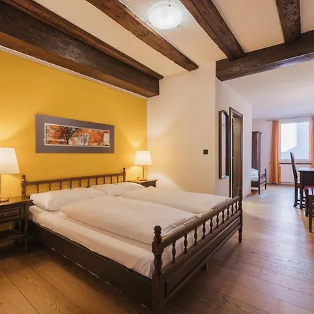 Hotel Baeren 3*