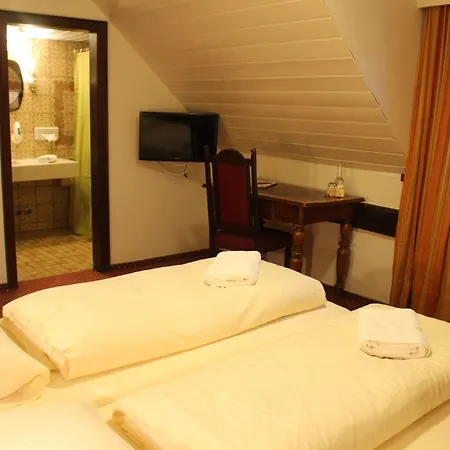 Hotel Baeren 3*