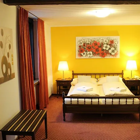 Hotel Hotel Baeren 3*