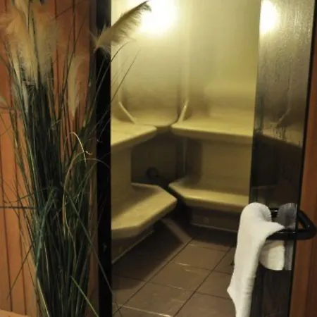 Hotel Baeren 3*