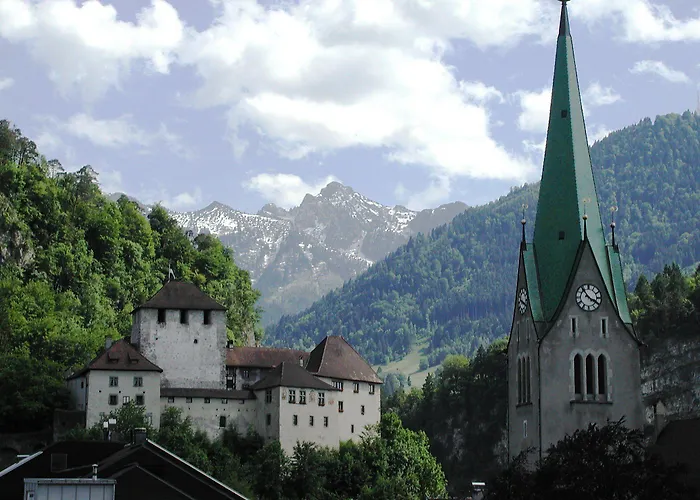 فندق Baeren فلدكرش